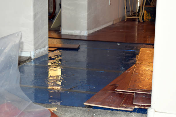 Professional Water Damage Restoration technician working in Edgewater, CO